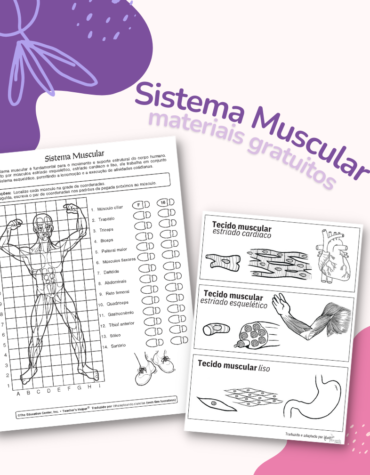 Material (gratuito) de Sistema Muscular!