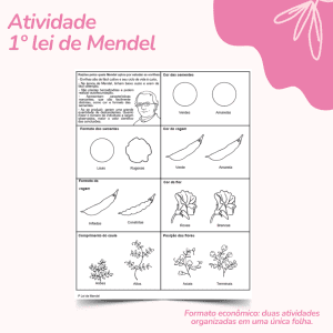 Atividade: 1º lei de Mendel