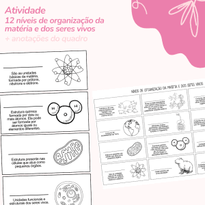 Atividade - 12 níveis de organização da matéria e dos seres vivos