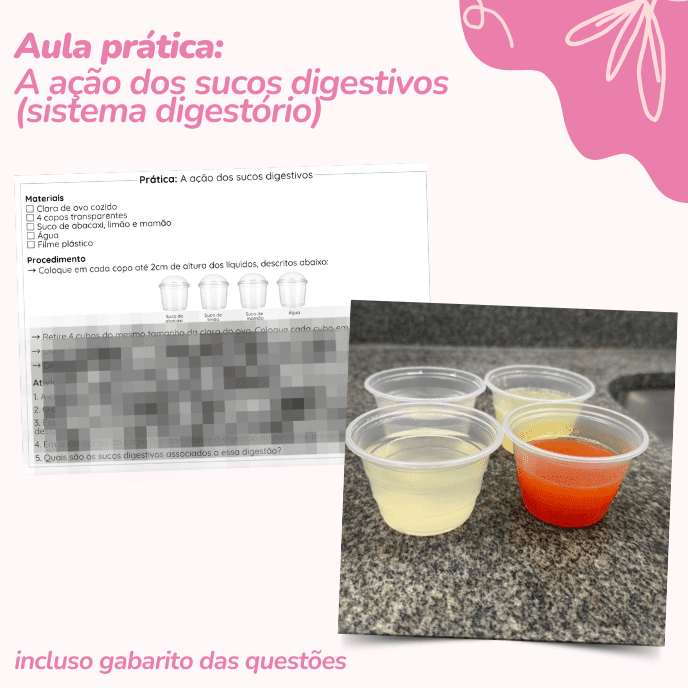Aula prática: A ação dos sucos digestivos (sistema digestório)