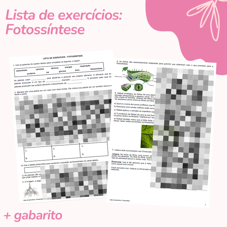 Lista de exercícios: Fotossíntese