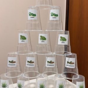 Mãos elásticas: Pirâmide de energia (cadeia alimentar)