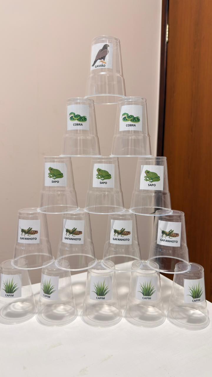 Mãos elásticas: Pirâmide de energia (cadeia alimentar)