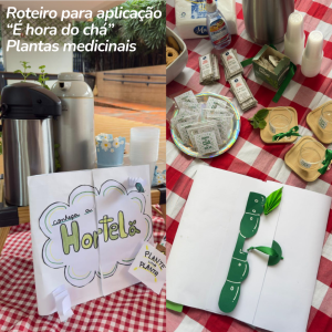 Roteiro: É hora do chá: plantas medicinais
